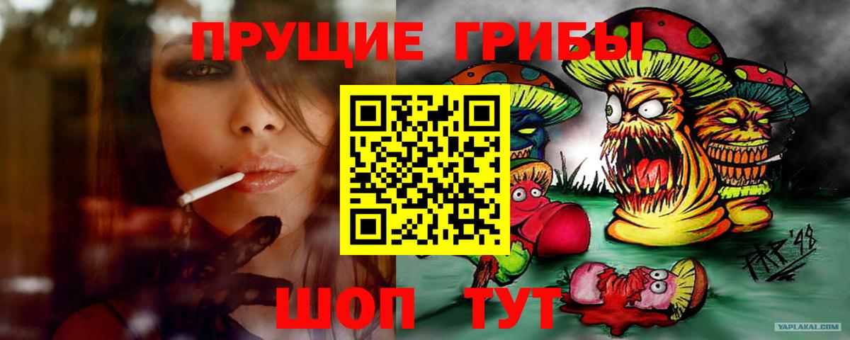 Псилоцибиновые грибы MAGIC MUSHROOMS Дербент
